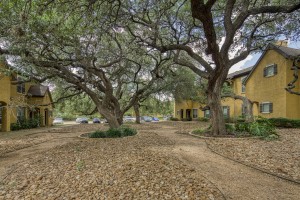 Two Bedroom Apartments for rent in San Antonio, TX - Exterior Buildings & Trees        